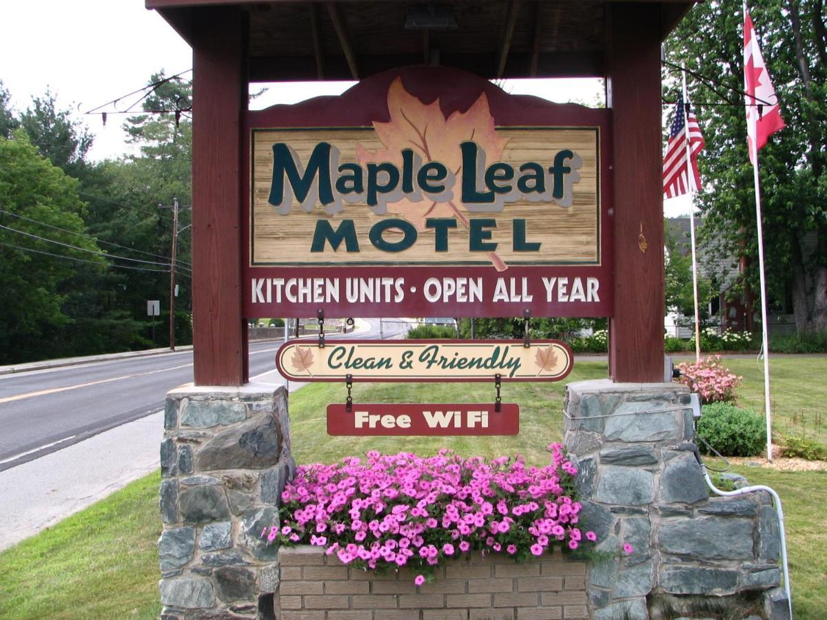 Maple Leaf Motel Littleton Eksteriør billede